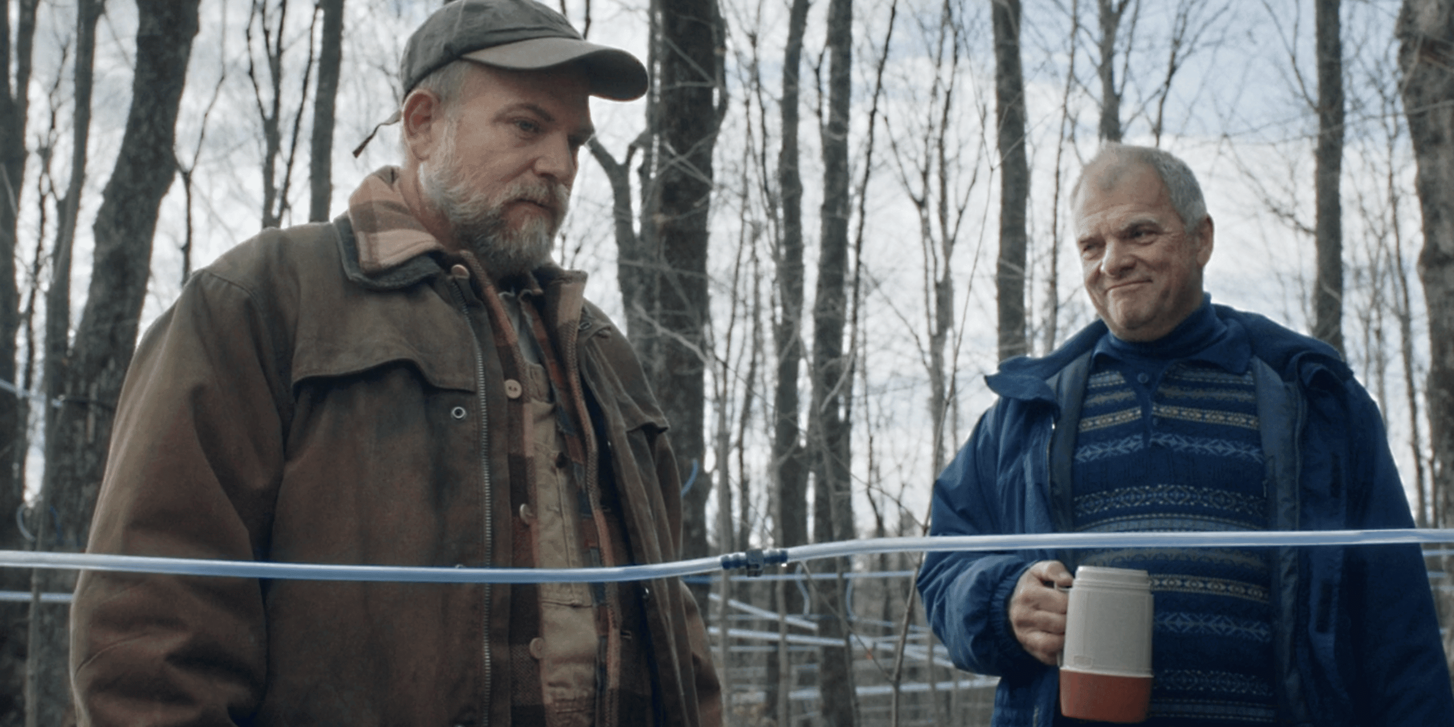 Érable du Québec brille au bye bye 2024