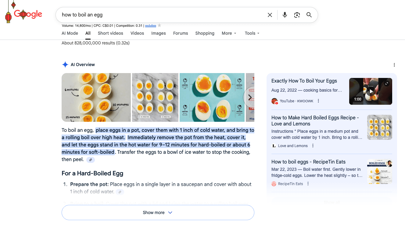 AI Overview: How to boil an egg