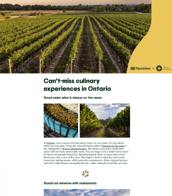 trip advisor article